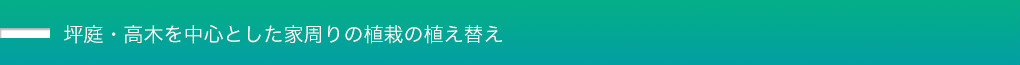 坪庭・高木を中心とした家周りの植栽の植え替え